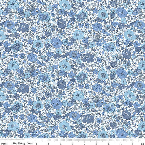 Coastal Walk Arley Park