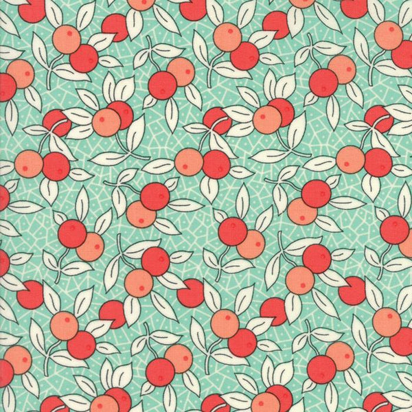 Berries Blueberry