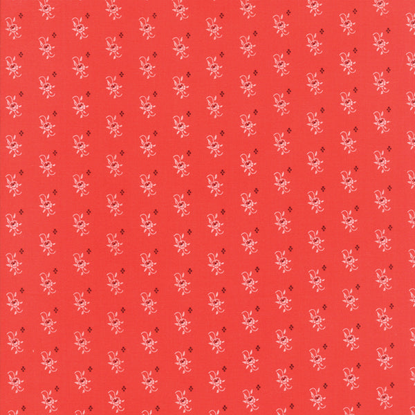 Pumpkin Seeds Promegranate