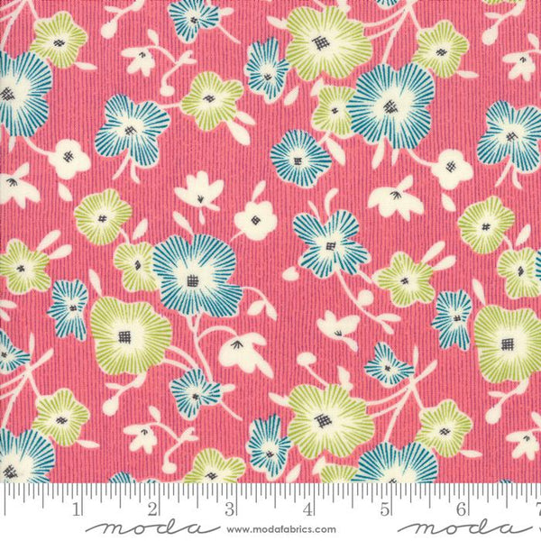 Modern Begonia Fuchsia