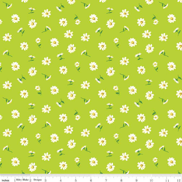 London Parks Dulwich Daisy Green