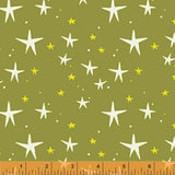 Dylan Mierzwinski Playground Starry Herbal