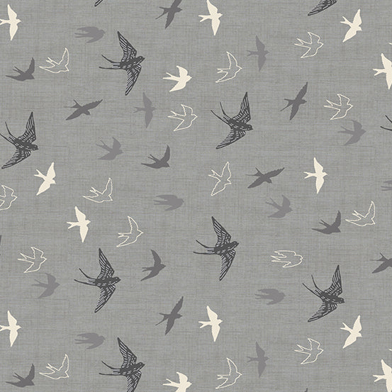 Swallows Grey