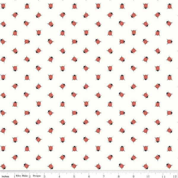 Ladybugs White