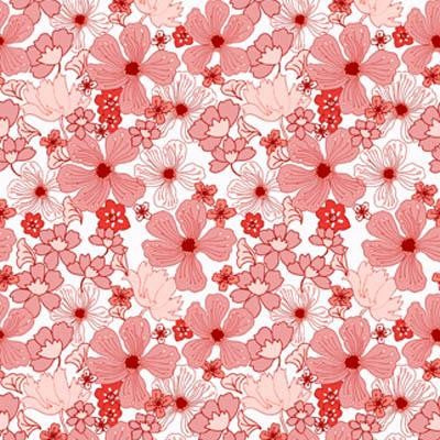 Poppy Coral Poppy