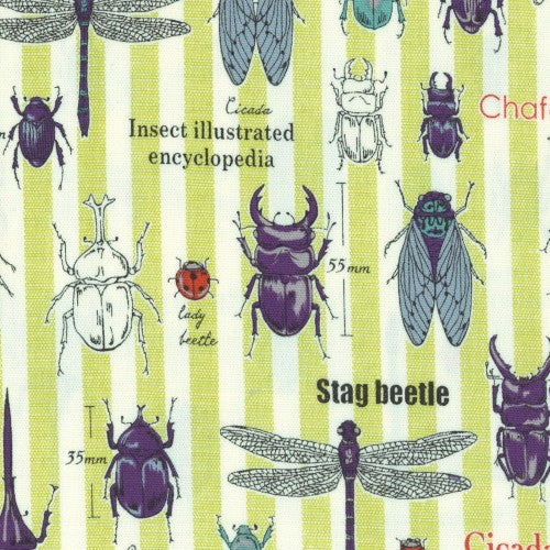 Bug Stripe Green