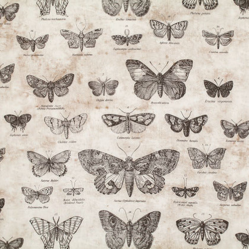 Butterflies Parchment
