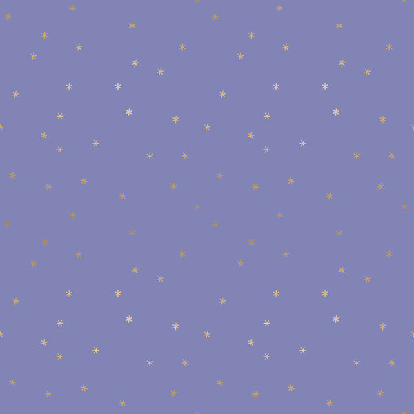 Spark Evening