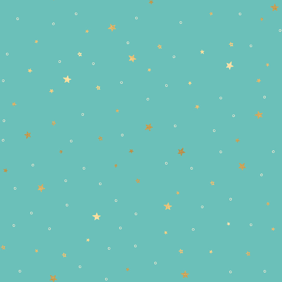 Birthday Tiny Stars Turquoise RS2049 13M