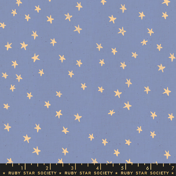 Starry Dusk