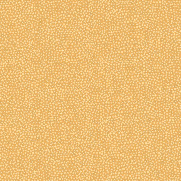 Jax Beeswax