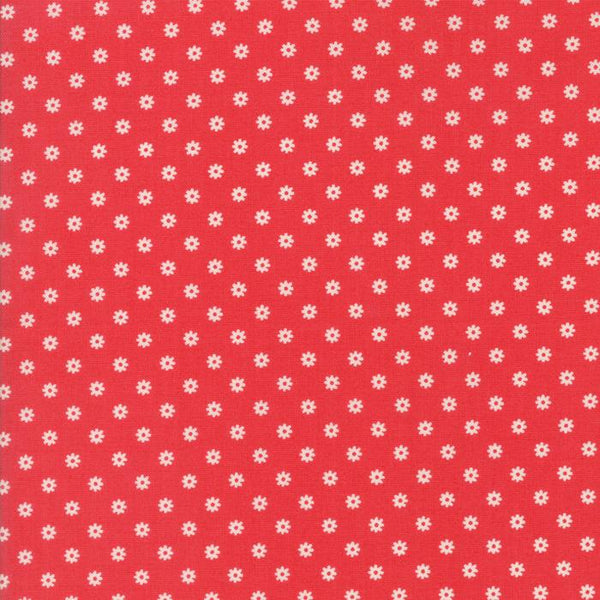 Ditsy Daisy Strawberry