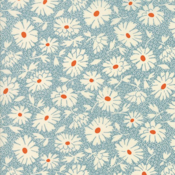 Lazy Daisy Sky