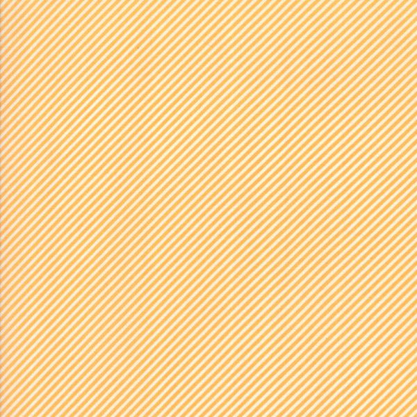 Bias Stripe Orange