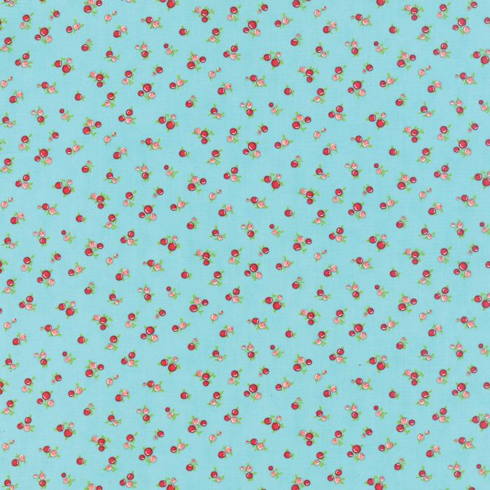 Little Ruby Quirky Aqua