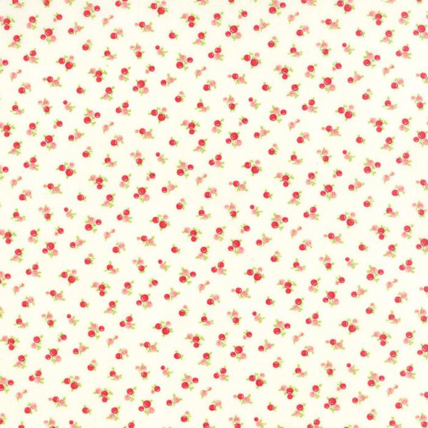 Quirky Cream