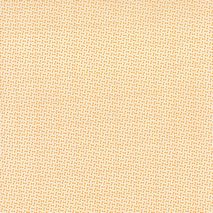 Miss Kate Dot Tangerine