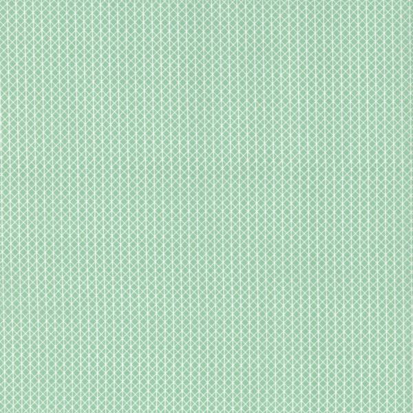 Cotton + Steel Basics Netorious Jam Jar