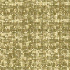 Intermix Net Moss