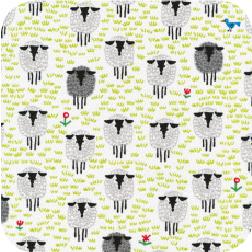 Happy Drawing Sheep