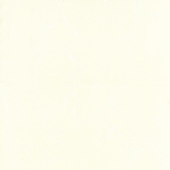 Alpine Topographic Map Birch White