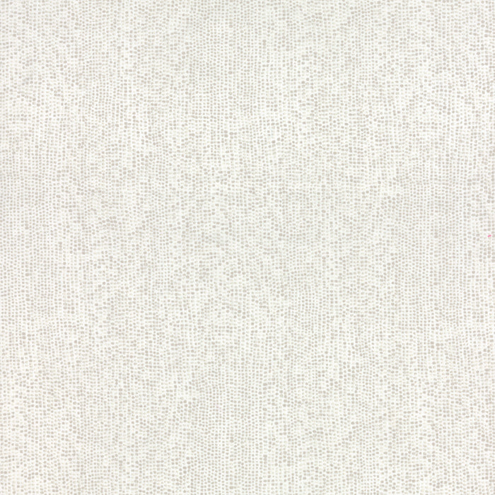 A Field Guide Speckle String