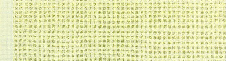 Carolyn Friedlander Jetty Metallic Grid Single Border Meringue