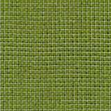 Carolyn Friedlander Jetty Mettallic Grid Single Border Ivy Fabric