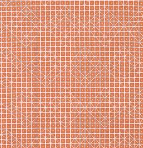 Domino Apricot