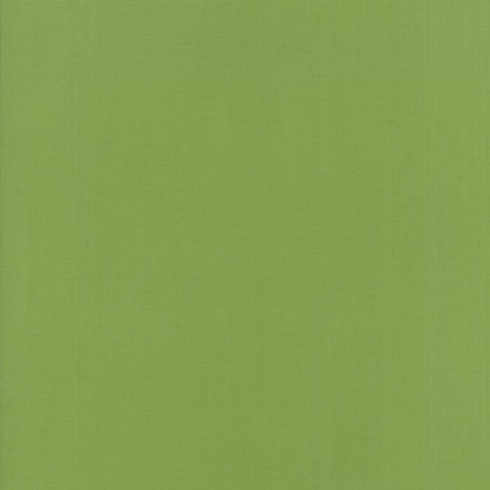 Bella Solids Fern