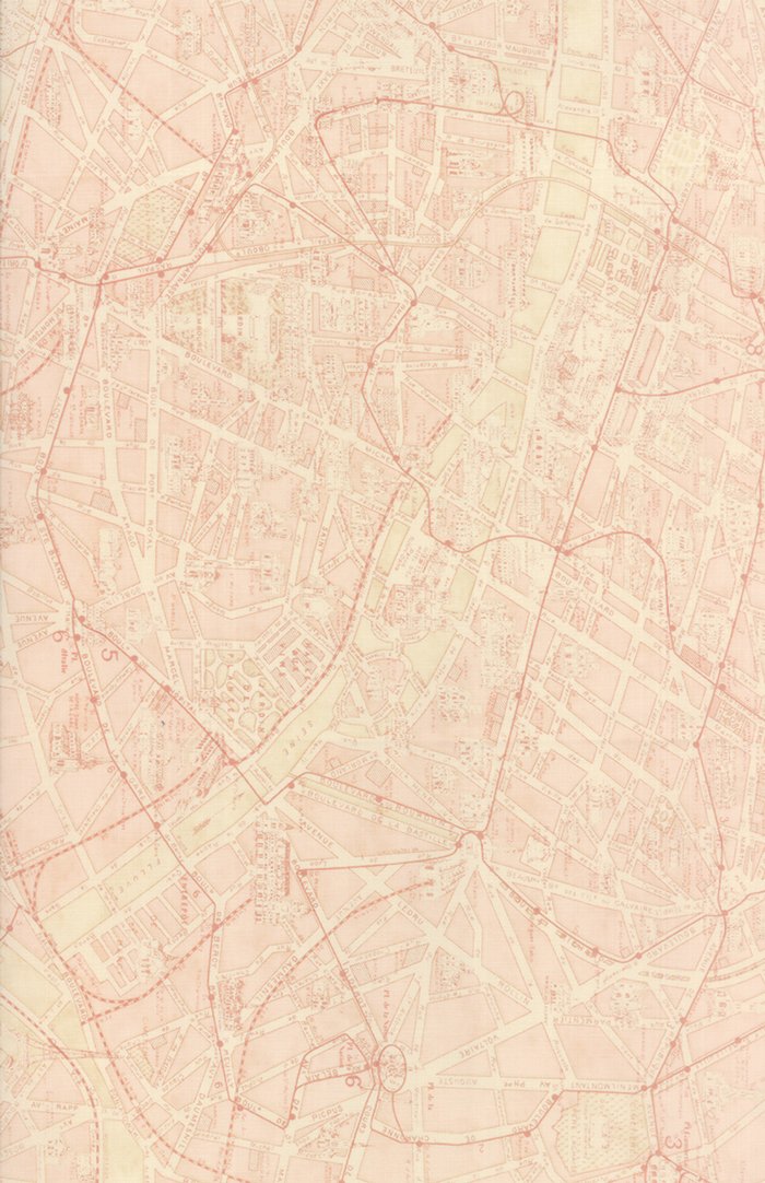 Passport Paris Map Ballet Slipper