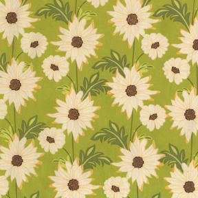 Meadowsweet Daisy Path Celery