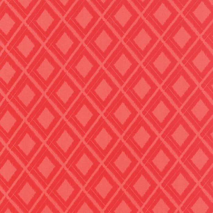 Simply Colorful Ikat Red